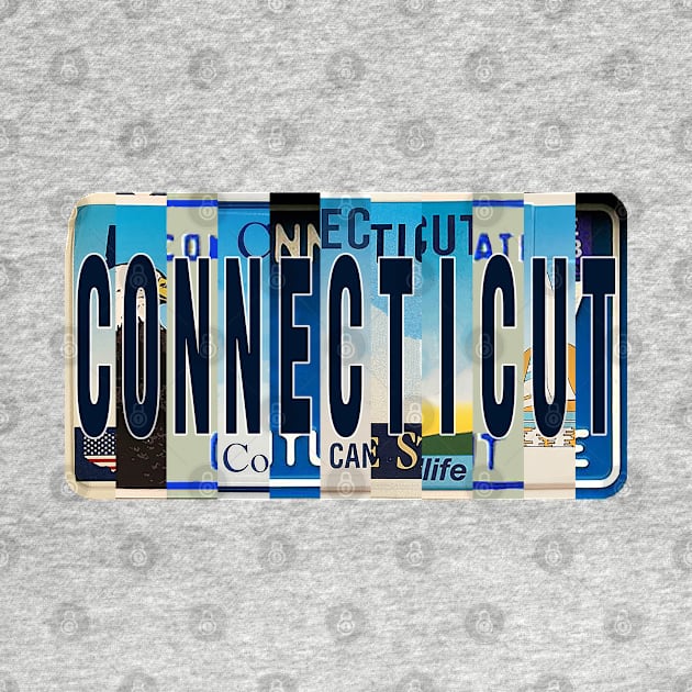 Connecticut License Plates by stermitkermit